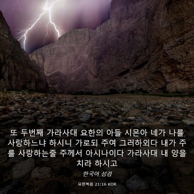 Picture 03 - 요한복음 21:16 KOR - 또 두번째 가라사대 요한의 아들 - Bible Verse Picture