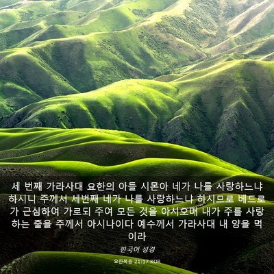 Picture 03 - 요한복음 21:17 KOR - 세 번째 가라사대 요한의 아들 - Bible Verse Picture
