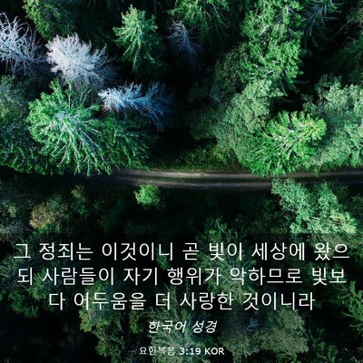 Picture 03 - 요한복음 3:19 KOR - 그 정죄는 이것이니 곧 빛이 세상에 - Bible Verse Picture