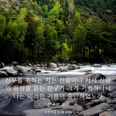 Picture 03 - 요한복음 3:29 KOR - 신부를 취하는 자는 신랑이나 서서 - Bible Verse Picture