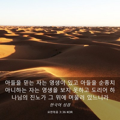 Picture 03 - 요한복음 3:36 KOR - 아들을 믿는 자는 영생이 있고 - Bible Verse Picture