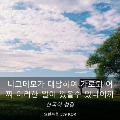 Picture 03 - 요한복음 3:9 KOR - 니고데모가 대답하여 가로되 어찌 - Bible Verse Picture