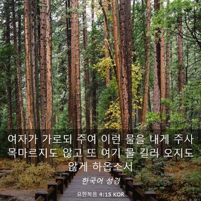 Picture 03 - 요한복음 4:15 KOR - 여자가 가로되 주여 이런 물을 내게 - Bible Verse Picture