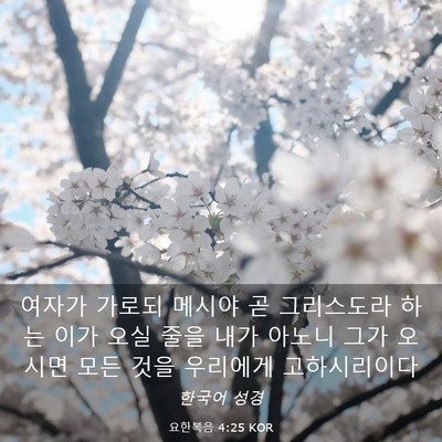 Picture 03 - 요한복음 4:25 KOR - 여자가 가로되 메시야 곧 그리스도라 - Bible Verse Picture