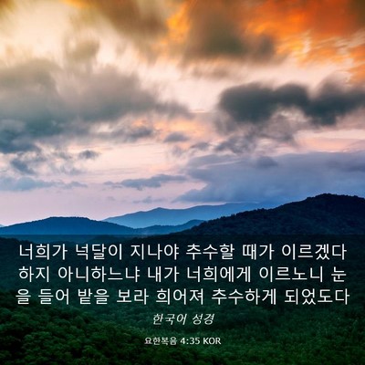 Picture 03 - 요한복음 4:35 KOR - 너희가 넉달이 지나야 추수할 때가 - Bible Verse Picture