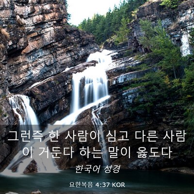 Picture 03 - 요한복음 4:37 KOR - 그런즉 한 사람이 심고 다른 사람이 - Bible Verse Picture