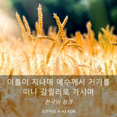 Picture 03 - 요한복음 4:43 KOR - 이틀이 지나매 예수께서 거기를 떠나 - Bible Verse Picture
