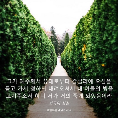 Picture 03 - 요한복음 4:47 KOR - 그가 예수께서 유대로부터 갈릴리에 - Bible Verse Picture