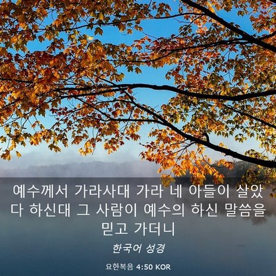 Picture 03 - 요한복음 4:50 KOR - 예수께서 가라사대 가라 네 아들이 - Bible Verse Picture