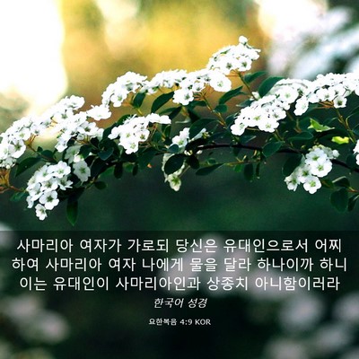 Picture 03 - 요한복음 4:9 KOR - 사마리아 여자가 가로되 당신은 - Bible Verse Picture
