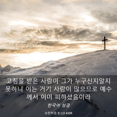 Picture 03 - 요한복음 5:13 KOR - 고침을 받은 사람이 그가 - Bible Verse Picture