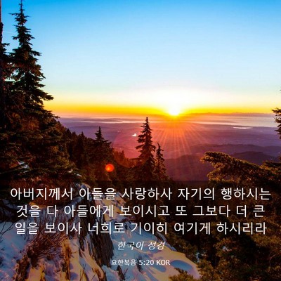 Picture 03 - 요한복음 5:20 KOR - 아버지께서 아들을 사랑하사 자기의 - Bible Verse Picture