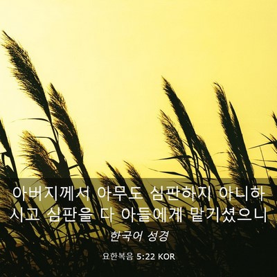 Picture 03 - 요한복음 5:22 KOR - 아버지께서 아무도 심판하지 - Bible Verse Picture
