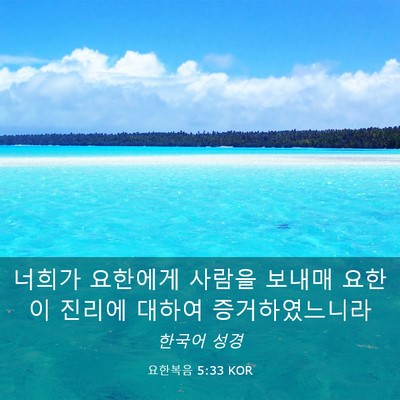 Picture 03 - 요한복음 5:33 KOR - 너희가 요한에게 사람을 보내매 - Bible Verse Picture