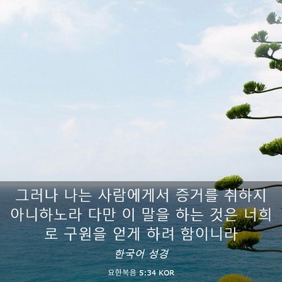 Picture 03 - 요한복음 5:34 KOR - 그러나 나는 사람에게서 증거를 - Bible Verse Picture