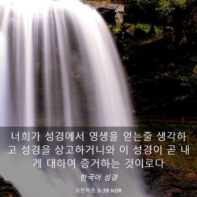Picture 03 - 요한복음 5:39 KOR - 너희가 성경에서 영생을 얻는줄 - Bible Verse Picture