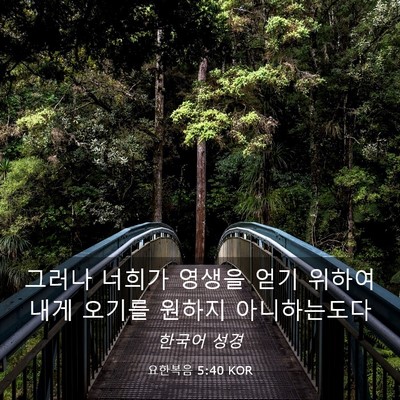 Picture 03 - 요한복음 5:40 KOR - 그러나 너희가 영생을 얻기 위하여 - Bible Verse Picture