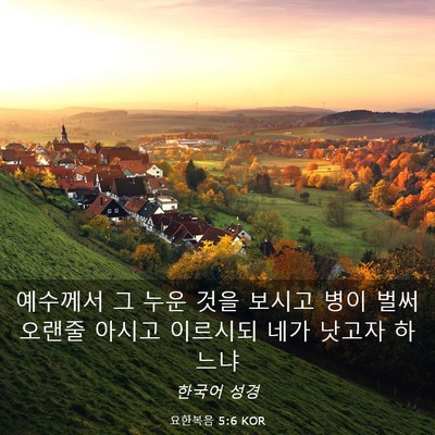 Picture 03 - 요한복음 5:6 KOR - 예수께서 그 누운 것을 보시고 병이 - Bible Verse Picture
