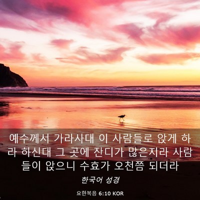 Picture 03 - 요한복음 6:10 KOR - 예수께서 가라사대 이 사람들로 앉게 - Bible Verse Picture