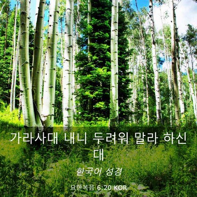 Picture 03 - 요한복음 6:20 KOR - 가라사대 내니 두려워 말라 - Bible Verse Picture