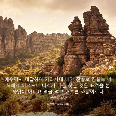 Picture 03 - 요한복음 6:26 KOR - 예수께서 대답하여 가라사대 내가 - Bible Verse Picture
