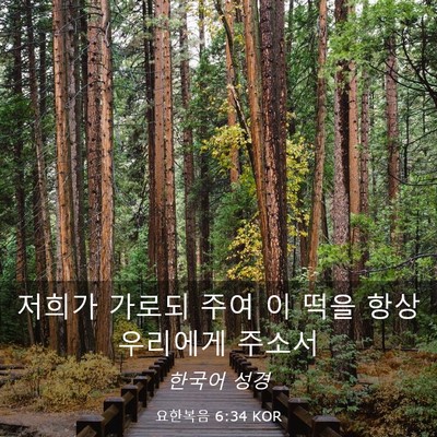 Picture 03 - 요한복음 6:34 KOR - 저희가 가로되 주여 이 떡을 항상 - Bible Verse Picture
