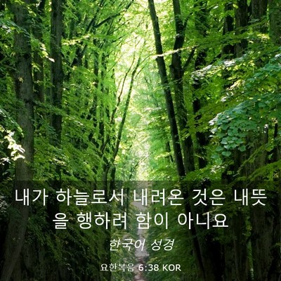 Picture 03 - 요한복음 6:38 KOR - 내가 하늘로서 내려온 것은 내뜻을 - Bible Verse Picture
