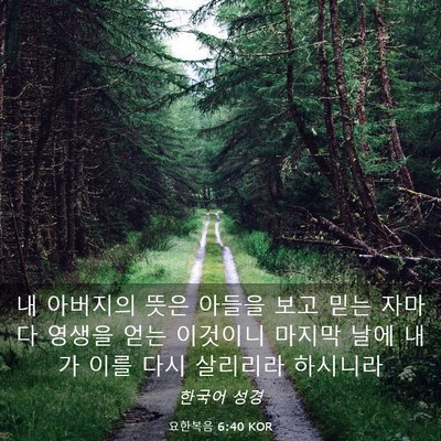 Picture 03 - 요한복음 6:40 KOR - 내 아버지의 뜻은 아들을 보고 믿는 - Bible Verse Picture