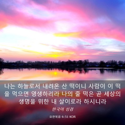 Picture 03 - 요한복음 6:51 KOR - 나는 하늘로서 내려온 산 떡이니 - Bible Verse Picture