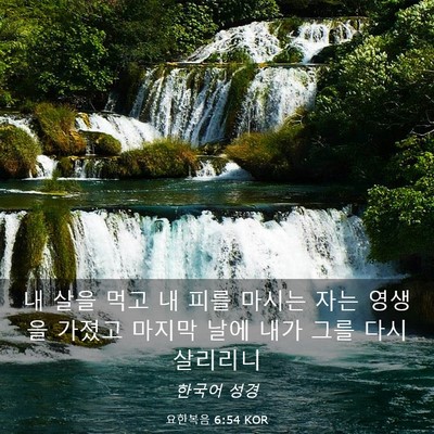Picture 03 - 요한복음 6:54 KOR - 내 살을 먹고 내 피를 마시는 자는 - Bible Verse Picture