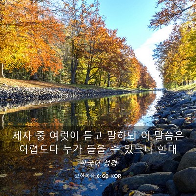 Picture 03 - 요한복음 6:60 KOR - 제자 중 여럿이 듣고 말하되 이 - Bible Verse Picture