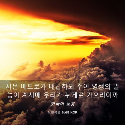 Picture 03 - 요한복음 6:68 KOR - 시몬 베드로가 대답하되 주여 영생의 - Bible Verse Picture