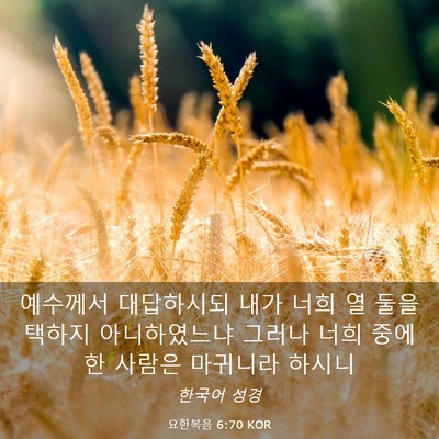 Picture 03 - 요한복음 6:70 KOR - 예수께서 대답하시되 내가 너희 열 - Bible Verse Picture