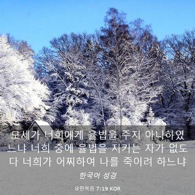 Picture 03 - 요한복음 7:19 KOR - 모세가 너희에게 율법을 주지 - Bible Verse Picture
