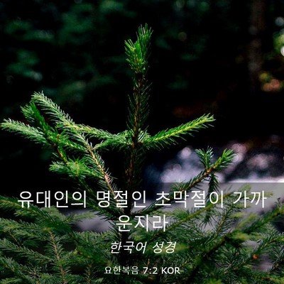 Picture 03 - 요한복음 7:2 KOR - 유대인의 명절인 초막절이 - Bible Verse Picture