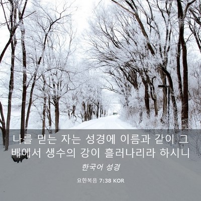 Picture 03 - 요한복음 7:38 KOR - 나를 믿는 자는 성경에 이름과 같이 - Bible Verse Picture