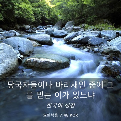Picture 03 - 요한복음 7:48 KOR - 당국자들이나 바리새인 중에 그를 - Bible Verse Picture