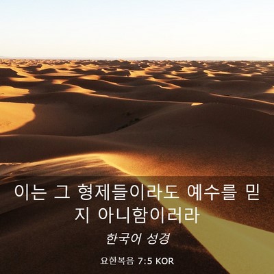 Picture 03 - 요한복음 7:5 KOR - 이는 그 형제들이라도 예수를 믿지 - Bible Verse Picture
