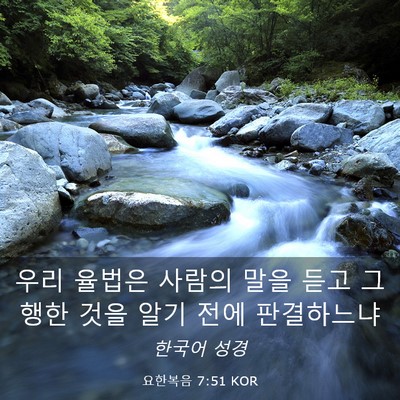 Picture 03 - 요한복음 7:51 KOR - 우리 율법은 사람의 말을 듣고 그 - Bible Verse Picture