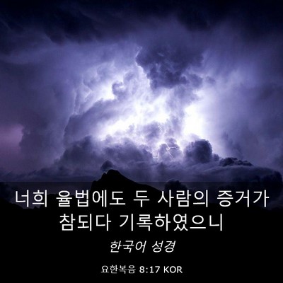 Picture 03 - 요한복음 8:17 KOR - 너희 율법에도 두 사람의 증거가 - Bible Verse Picture