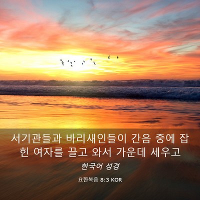 Picture 03 - 요한복음 8:3 KOR - 서기관들과 바리새인들이 간음 중에 - Bible Verse Picture