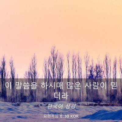 Picture 03 - 요한복음 8:30 KOR - 이 말씀을 하시매 많은 사람이 - Bible Verse Picture