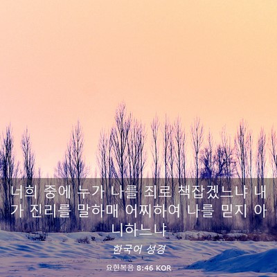 Picture 03 - 요한복음 8:46 KOR - 너희 중에 누가 나를 죄로 - Bible Verse Picture