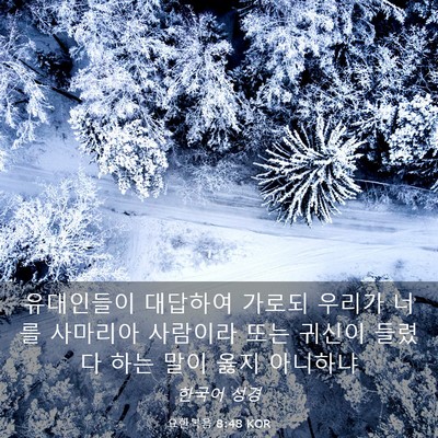 Picture 03 - 요한복음 8:48 KOR - 유대인들이 대답하여 가로되 우리가 - Bible Verse Picture