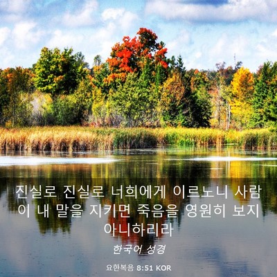 Picture 03 - 요한복음 8:51 KOR - 진실로 진실로 너희에게 이르노니 - Bible Verse Picture