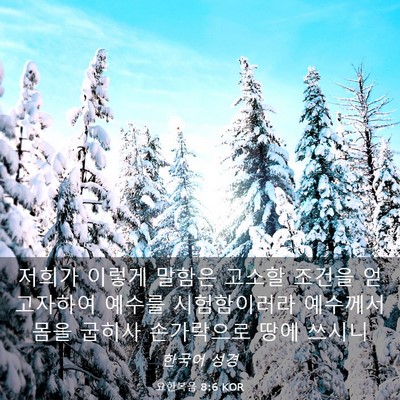 Picture 03 - 요한복음 8:6 KOR - 저희가 이렇게 말함은 고소할 조건을 - Bible Verse Picture