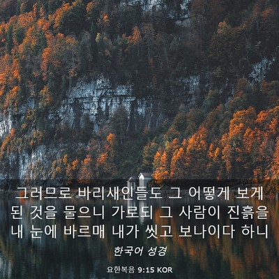 Picture 03 - 요한복음 9:15 KOR - 그러므로 바리새인들도 그 어떻게 - Bible Verse Picture