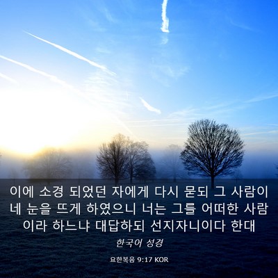 Picture 03 - 요한복음 9:17 KOR - 이에 소경 되었던 자에게 다시 묻되 - Bible Verse Picture