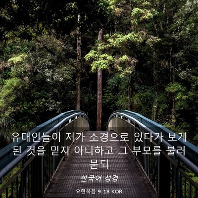 Picture 03 - 요한복음 9:18 KOR - 유대인들이 저가 소경으로 있다가 - Bible Verse Picture