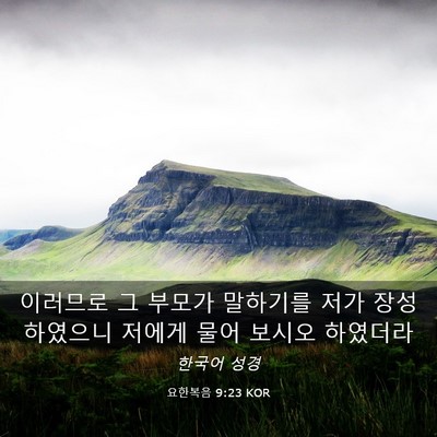 Picture 03 - 요한복음 9:23 KOR - 이러므로 그 부모가 말하기를 저가 - Bible Verse Picture